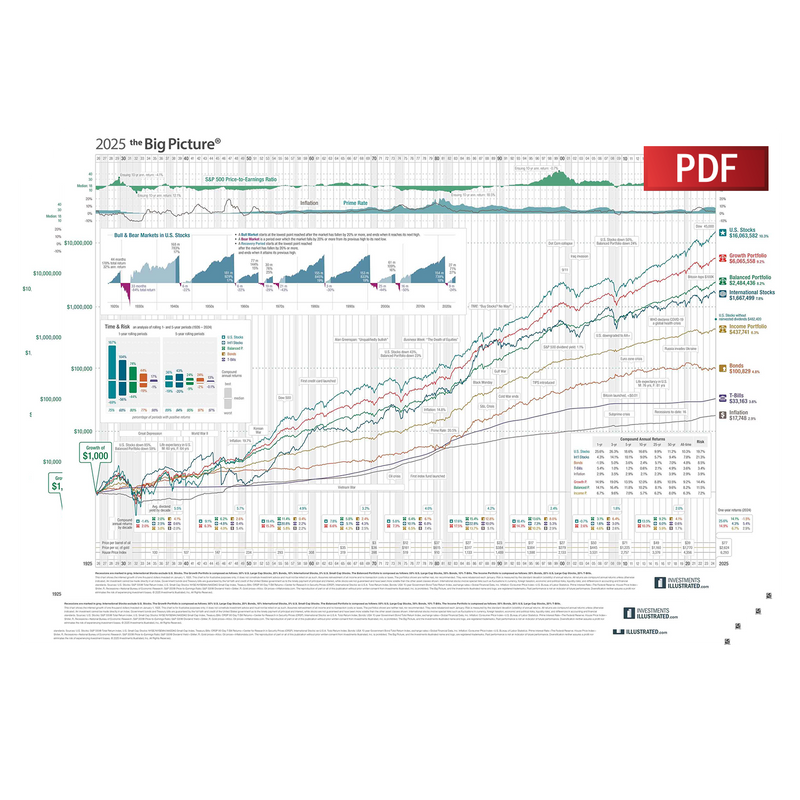The Big Picture PDF
