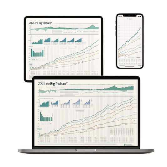 Big Picture Digital Version: Firm Edition